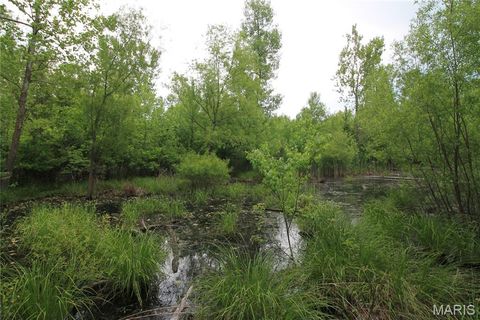 Tiny photo for 000 Warden Lake Drive, Mineral Point, MO 63660 (MLS # 26030791)