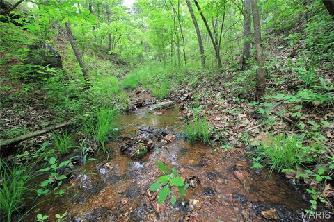 Tiny photo for 000 Warden Lake Drive, Mineral Point, MO 63660 (MLS # 26030791)