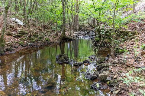 Tiny photo for 000 Warden Lake Drive, Mineral Point, MO 63660 (MLS # 26030791)
