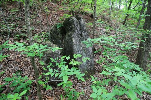 Tiny photo for 000 Warden Lake Drive, Mineral Point, MO 63660 (MLS # 26030791)