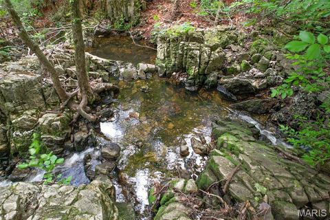 Tiny photo for 000 Warden Lake Drive, Mineral Point, MO 63660 (MLS # 26030791)