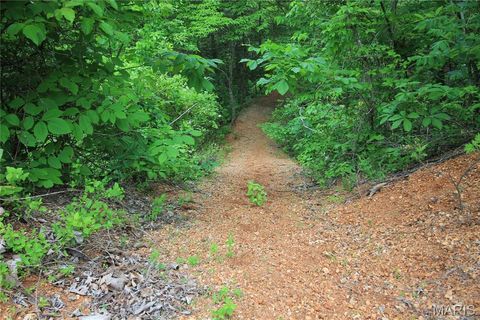 Tiny photo for 000 Warden Lake Drive, Mineral Point, MO 63660 (MLS # 26030791)