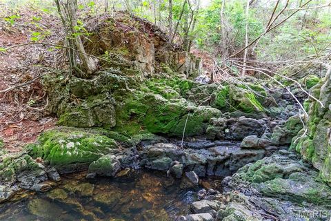 Tiny photo for 000 Warden Lake Drive, Mineral Point, MO 63660 (MLS # 26030791)