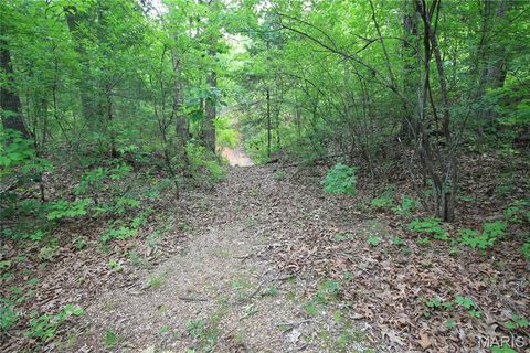 Tiny photo for 000 Warden Lake Drive, Mineral Point, MO 63660 (MLS # 26030791)