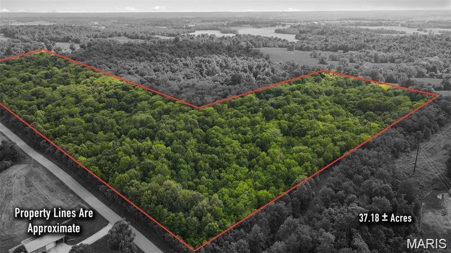 For Comp purpose only.