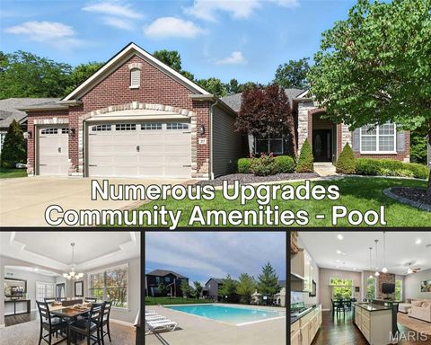 317 Hyde Park Avenue Wentzville MO 63385
