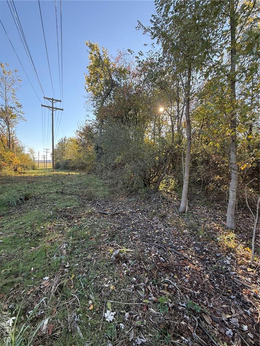 Photo of 0 Perrine Road, Farmington, MO 63640 (MLS # 25073541)