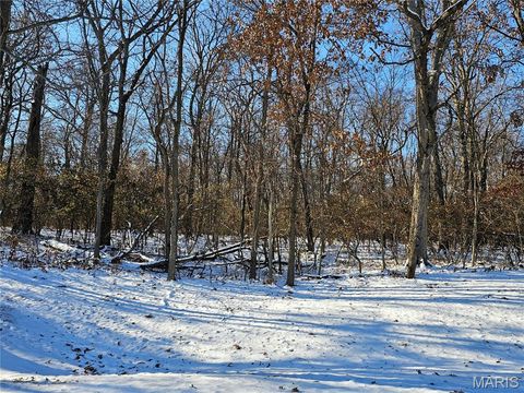 TBD Meisenheimer Avenue Hillsboro IL 62049