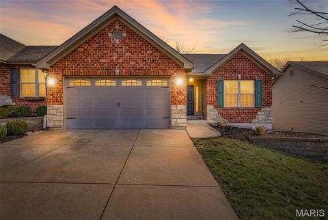 12 Aspen Court Festus MO 63028