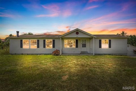 1900 Erin Drive Festus MO 63028