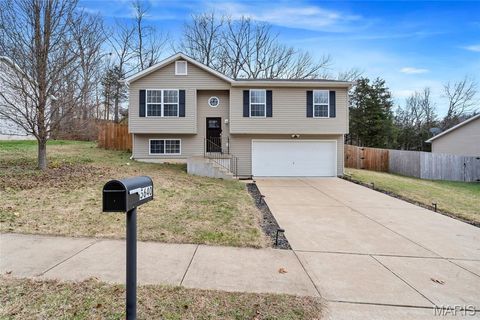 5640 Hawks Landing Drive Hillsboro MO 63050