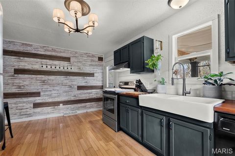 Tiny photo for 1510 McDonald Street, Cape Girardeau, MO 63701 (MLS # 26017805)