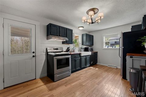 Tiny photo for 1510 McDonald Street, Cape Girardeau, MO 63701 (MLS # 26017805)