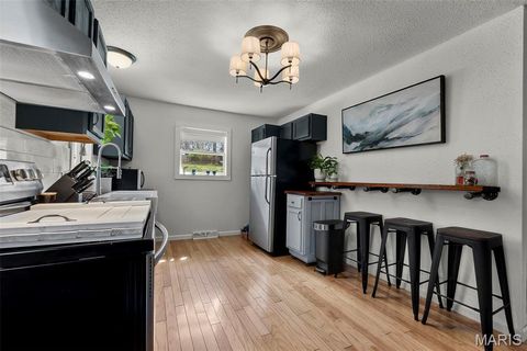 Tiny photo for 1510 McDonald Street, Cape Girardeau, MO 63701 (MLS # 26017805)