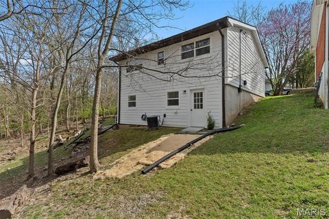 Tiny photo for 1510 McDonald Street, Cape Girardeau, MO 63701 (MLS # 26017805)