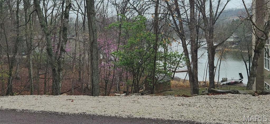 Lake Sherwood Estates - Land