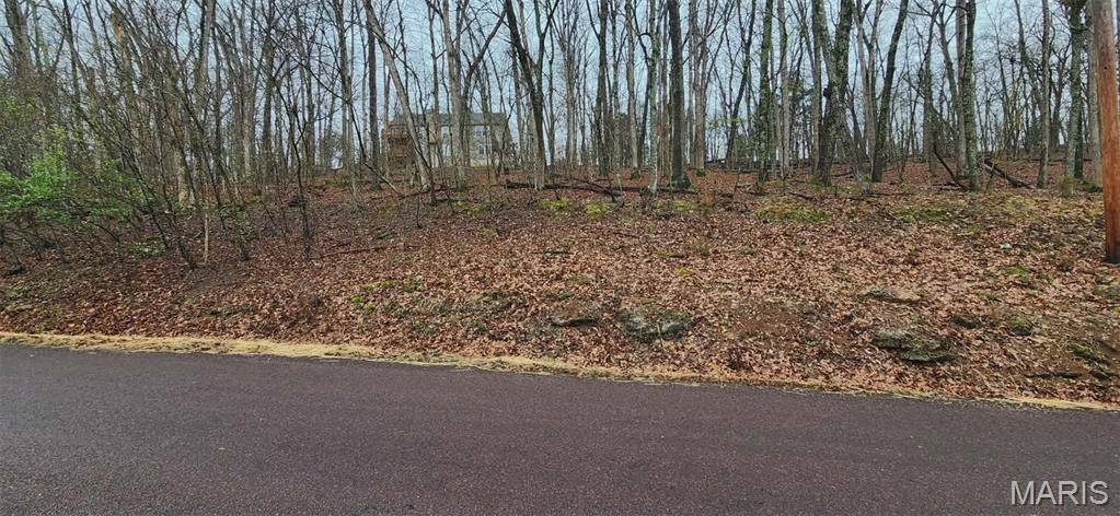 Lake Sherwood Estates - Land