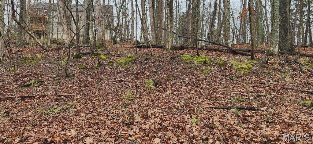 Lake Sherwood Estates - Land