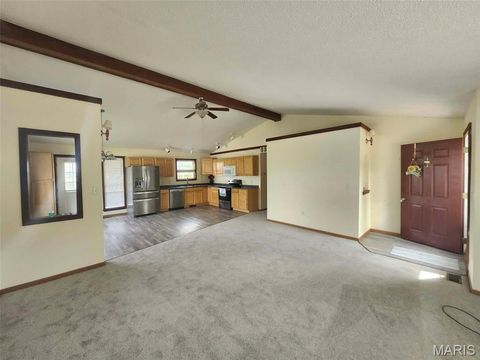 Tiny photo for 1204 Riverview Drive, Elsberry, MO 63343 (MLS # 26022067)