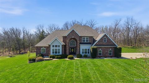 Photo of 251 Lake Forest Drive, Troy, MO 63379 (MLS # 26017902)