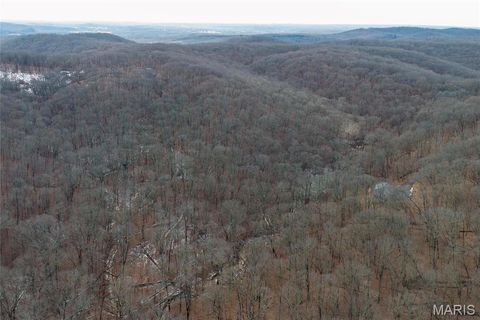 636 Hoene Ridge Estates Drive Eureka MO 63025