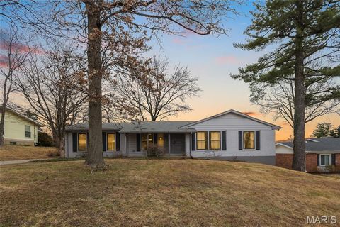 Photo of 326 Renaldo Drive, Chesterfield, MO 63017 (MLS # 25082021)