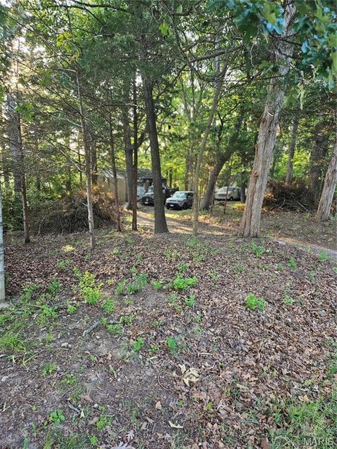 Photo of 4751 Mehl Avenue, St Louis, MO 63129 (MLS # 26066272)