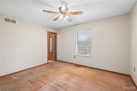 Tiny photo for 4305 Julie Court, High Ridge, MO 63049 (MLS # 26011251)