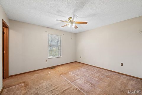 Tiny photo for 4305 Julie Court, High Ridge, MO 63049 (MLS # 26011251)