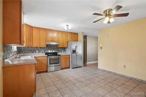 Tiny photo for 4305 Julie Court, High Ridge, MO 63049 (MLS # 26011251)