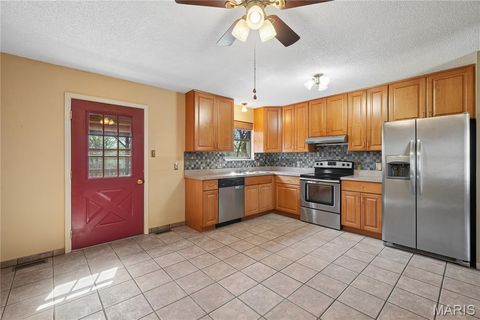 Tiny photo for 4305 Julie Court, High Ridge, MO 63049 (MLS # 26011251)