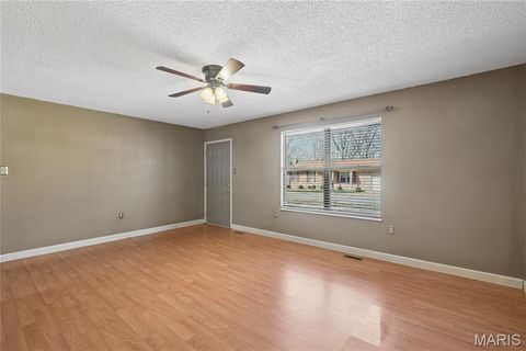 Tiny photo for 4305 Julie Court, High Ridge, MO 63049 (MLS # 26011251)