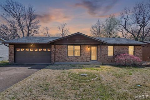 Photo of 4305 Julie Court, High Ridge, MO 63049 (MLS # 26011251)
