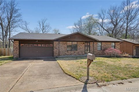 Tiny photo for 4305 Julie Court, High Ridge, MO 63049 (MLS # 26011251)