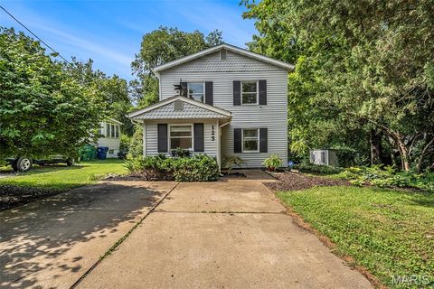 Photo of 125 E Frisco Avenue, Webster Groves, MO 63119 (MLS # 25036807)