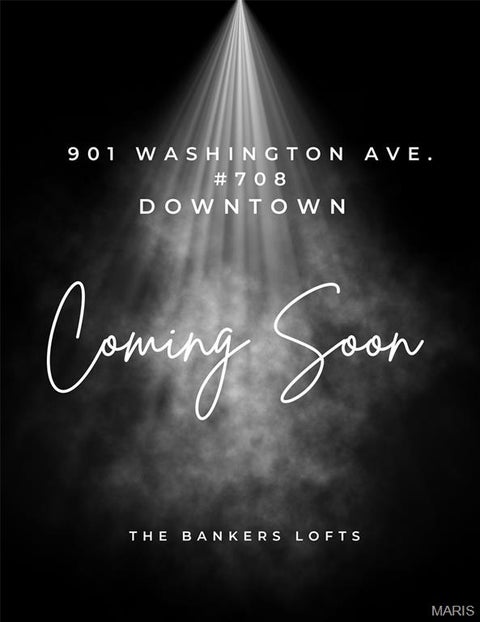 Photo of 901 Washington Avenue #708, St Louis, MO 63101 (MLS # 26058943)