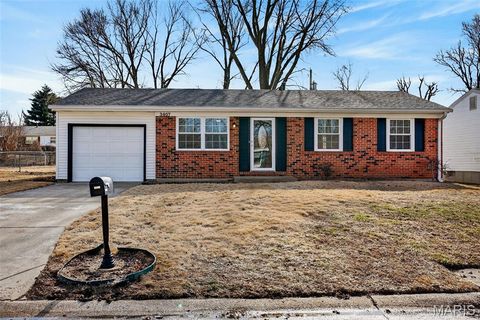 Photo of 3407 Highgate Lane, St Charles, MO 63301 (MLS # 26008391)