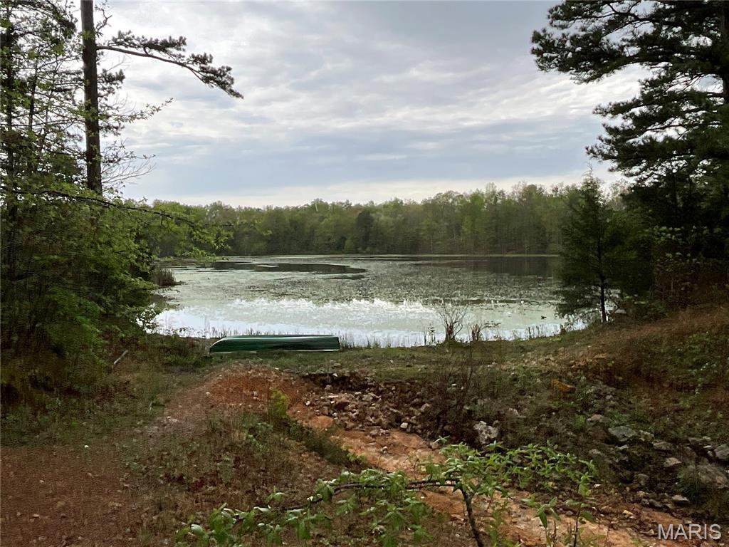 Wilderness Lake - Land