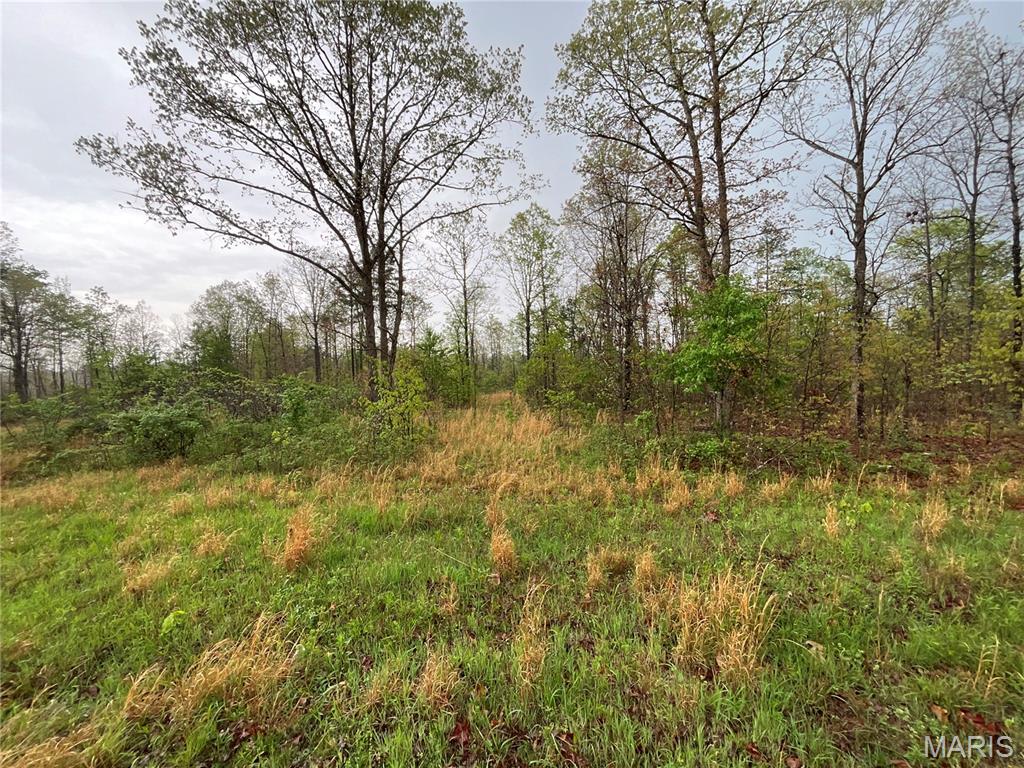 Wilderness Lake - Land