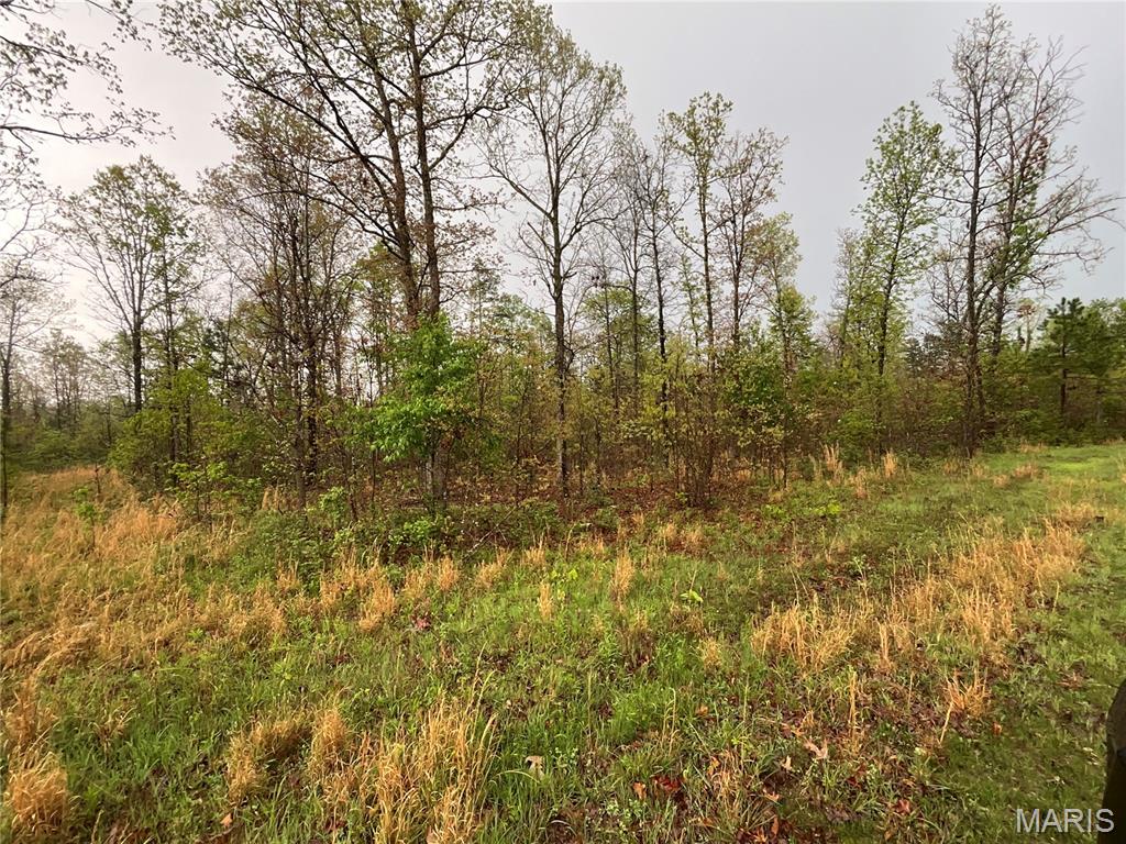 Wilderness Lake - Land
