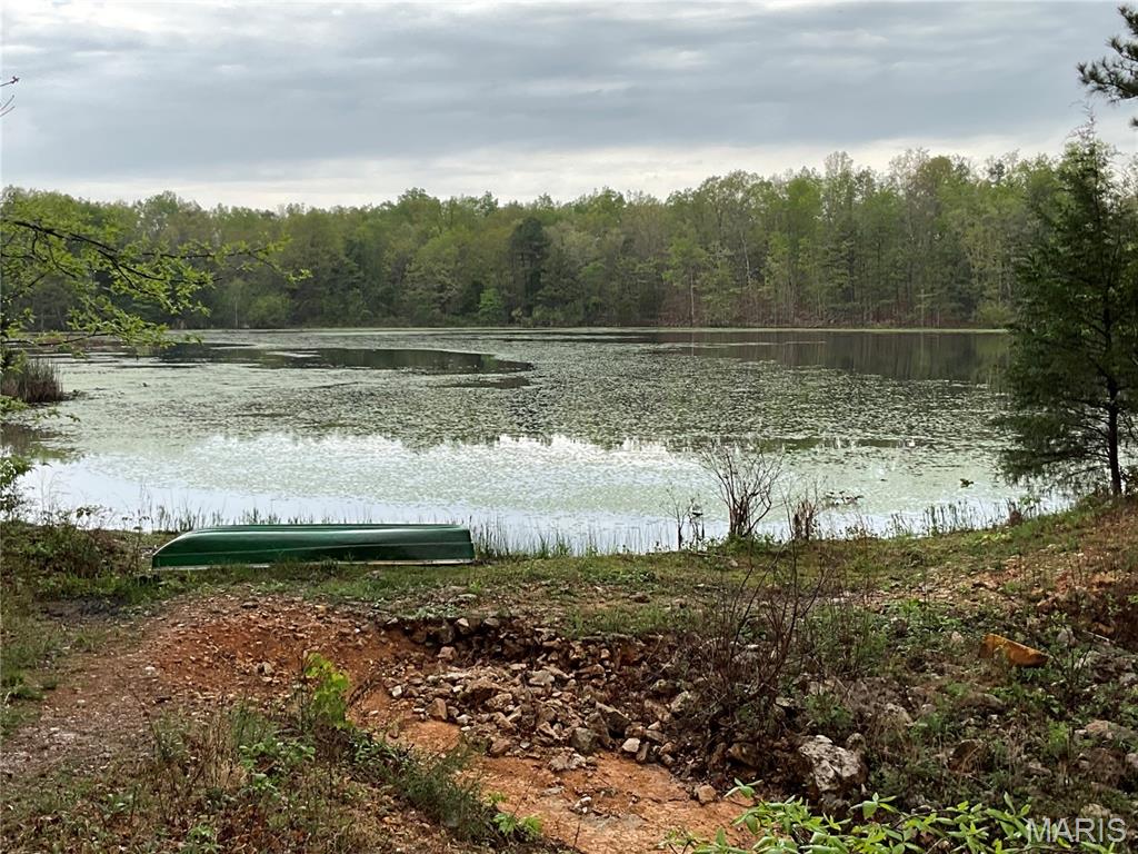 Wilderness Lake - Land