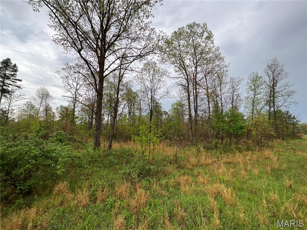 Wilderness Lake - Land