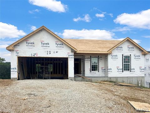 2317 Hank's Close Court 186 STB Washington MO 63090