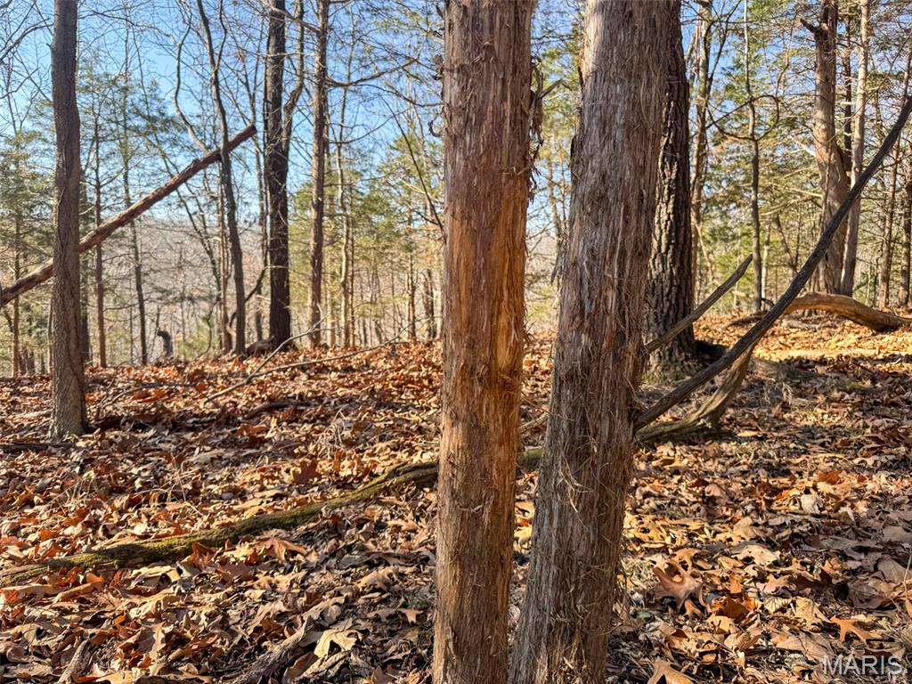 6606 Old Lemay Ferry Road