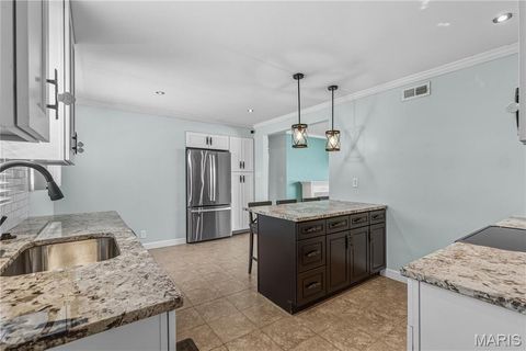 Tiny photo for 155 Susan Road, St Louis, MO 63129 (MLS # 26008758)