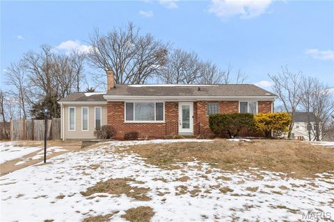 Photo of 155 Susan Road, St Louis, MO 63129 (MLS # 26008758)
