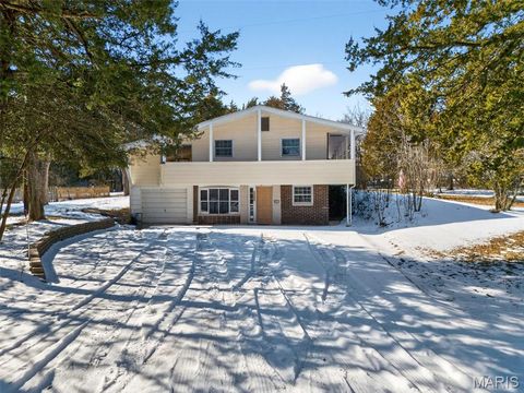 28991 Riley Grove Lane Wright City MO 63390