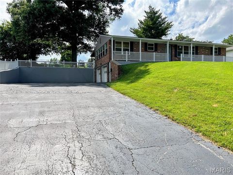 Tiny photo for 1107 Virginia Avenue, Crystal City, MO 63019 (MLS # 26036619)