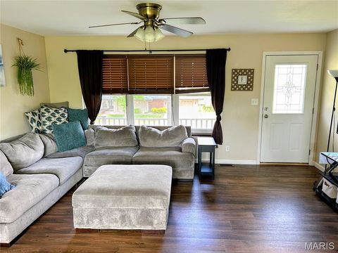 Tiny photo for 1107 Virginia Avenue, Crystal City, MO 63019 (MLS # 26036619)