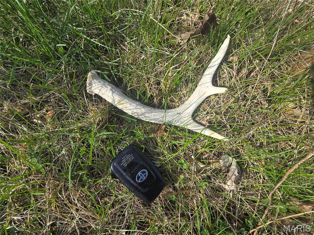 Franz Boedefeld Estate - Land